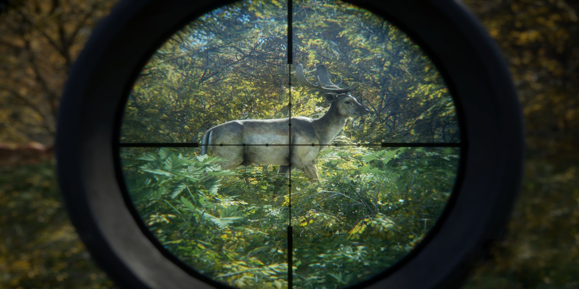 thehunter COTW