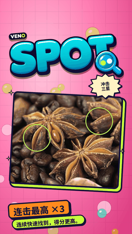 VENO Spot 手机版:图 A 上圈出两处不同